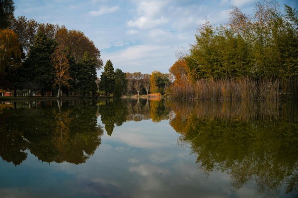 Les minéraux essentiels pour des os solides