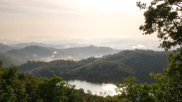 Guide des thérapeutes en Auvergne Rhône Alpes pour un mieux-être